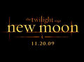 New Moon 68708929