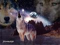 Fantasy Wolf 58179801