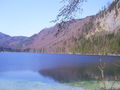 Bei den Langbathseen 12.04.2009 57578815