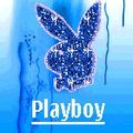 playboy 70279326