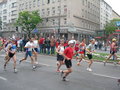 Vienna City Marathon 2006 11707665