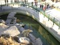 Tierpark Wien 49450445