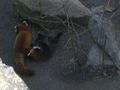 Tierpark Wien 49450472