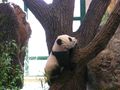 Tierpark Wien 49601207