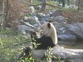 Tierpark Wien 49601267