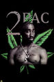 2 pac eine Legende 59375274