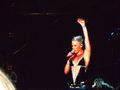 P!NK Konzert :D  74074355