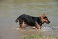 2009-04-11 Radtour mit Aron 57500284