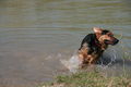 2009-04-11 Radtour mit Aron 57500317