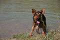 2009-04-11 Radtour mit Aron 57500349