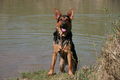 2009-04-11 Radtour mit Aron 57500413