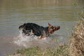 2009-04-11 Radtour mit Aron 57500467