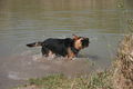 2009-04-11 Radtour mit Aron 57500500