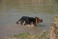 2009-04-11 Radtour mit Aron 57500541
