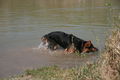 2009-04-11 Radtour mit Aron 57500568