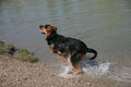 2009-04-11 Radtour mit Aron 57500627