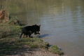 2009-04-11 Radtour mit Aron 57500663