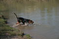 2009-04-11 Radtour mit Aron 57500699