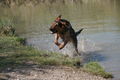 2009-04-11 Radtour mit Aron 57500794