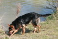 2009-04-11 Radtour mit Aron 57500857