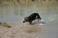 2009-04-11 Radtour mit Aron 57500978