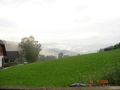 2006-07-15 Klopein und Peugeottreffen 61577491