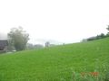 2006-07-15 Klopein und Peugeottreffen 61577513