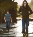 New Moon- the Movie 65547310