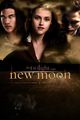 New Moon- the Movie 66884976