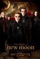 New Moon- the Movie 69522968