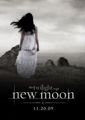 new moon :) 65535822