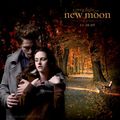 new moon :) 65535832