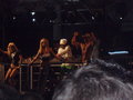 Donauinselfest 2007 22101926