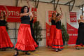 Flamenco...again 8910817