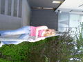 SaBsI& I 58634330