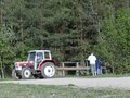 Maibaum holen in NÖ 2007 19502663