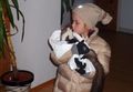 Unsere Tierchen 66289940