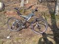 Biken im Ausseerland 58181771