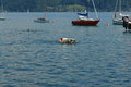 More and More am Attersee am 26. August 26757586