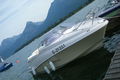 Motorboot rund um Wolfgangsee 66609909