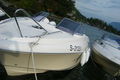 Motorboot rund um Wolfgangsee 66609917