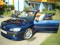 my cars 1101679