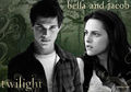 Twilight/New Moon 70723762