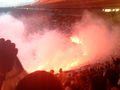 Sk Rapid Wien 66221395