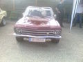 Oldie Treffn Grieskirchen 62994561