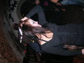 Halloween 2006 10917613