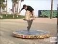 Rodney Mullen 66386247