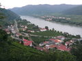 Wachau 64910384