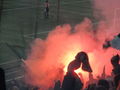 RAPID WIEN 58862916