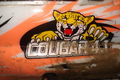 Mein nitro auto ,,COUGAR´´ 60316305